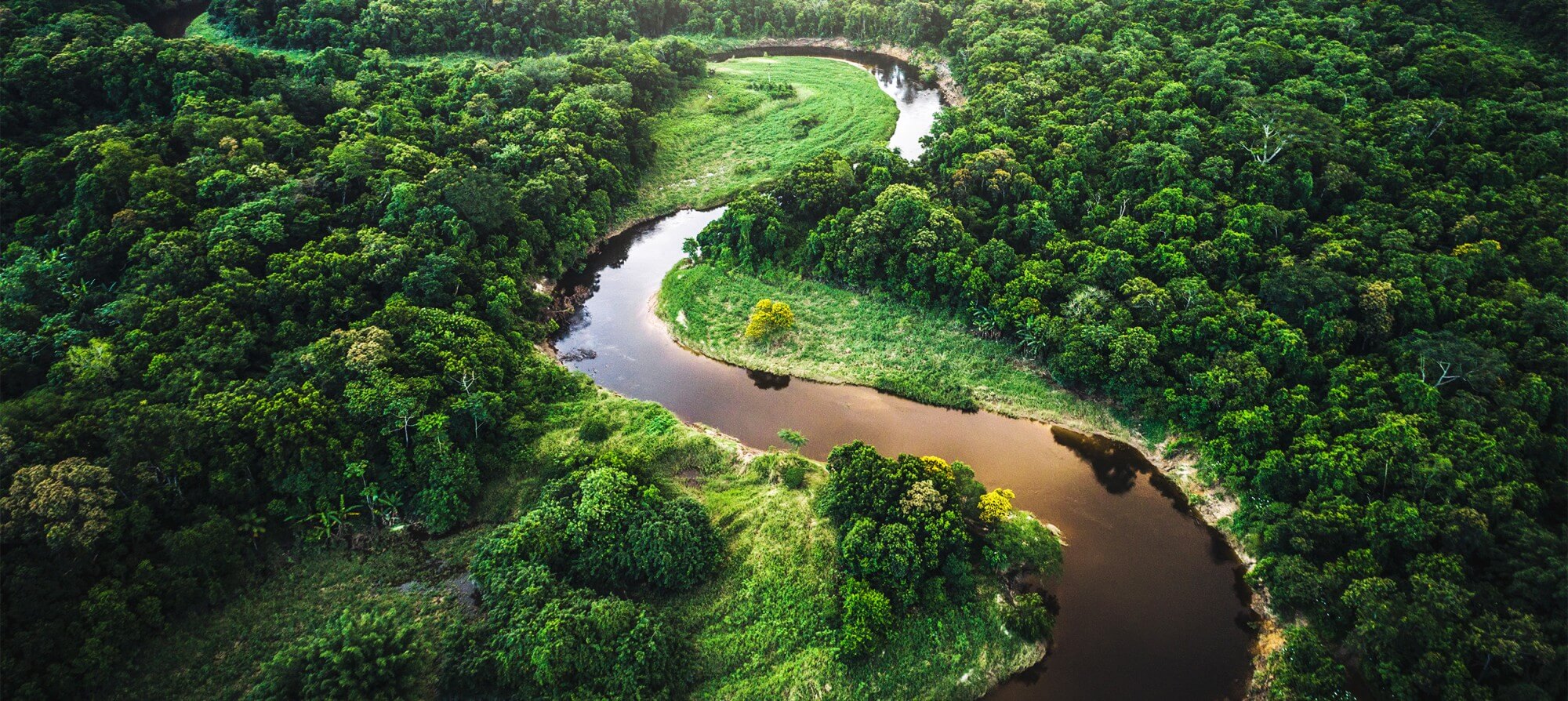 Mysteries of the Amazon: Exploring the World’s Longest River