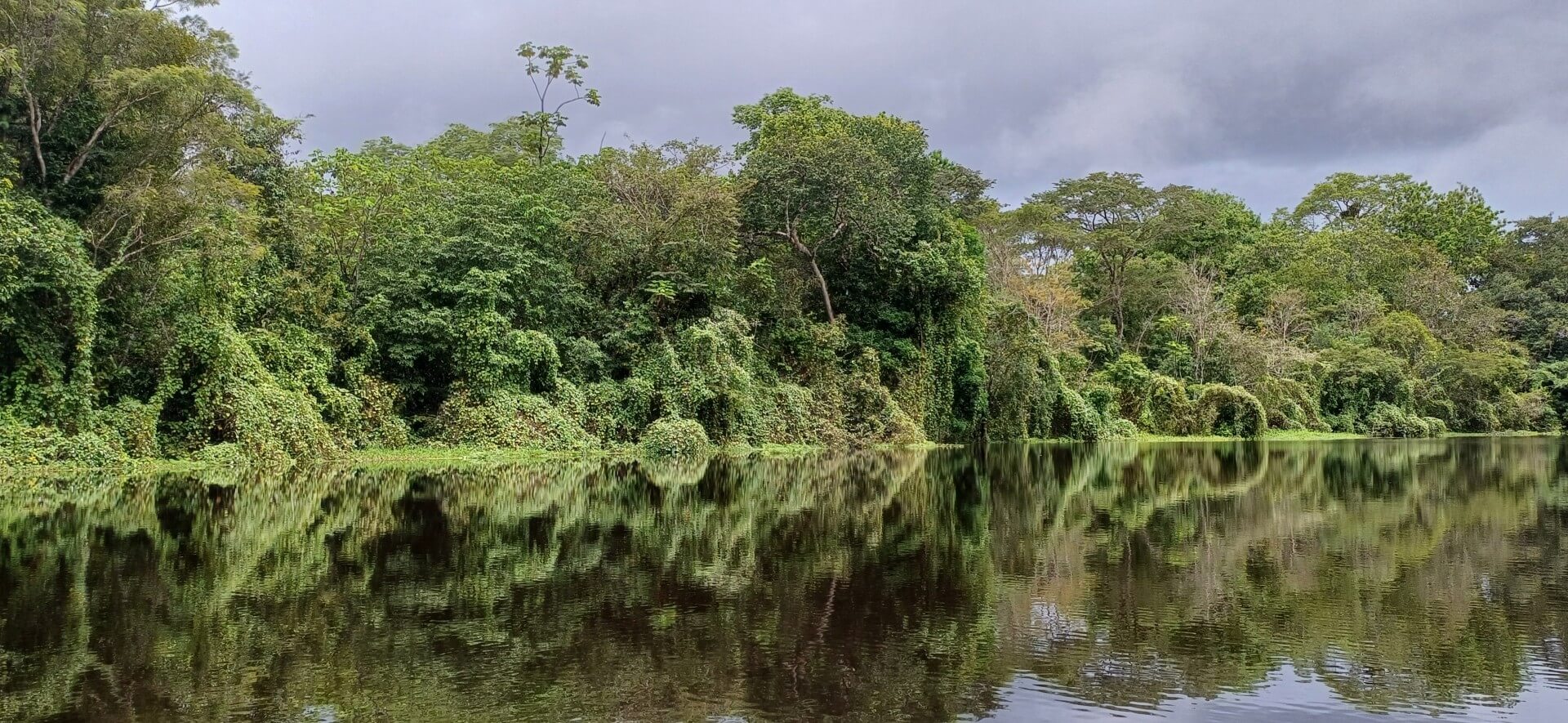 The Different Vegetation Zones of Colombia: A Fun Trip Through Nature