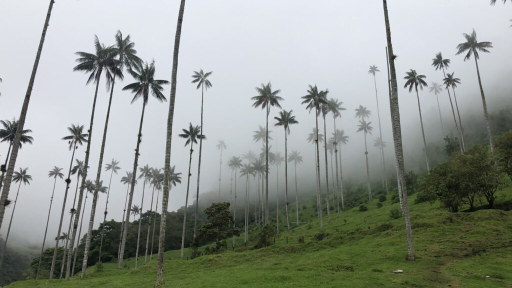 14AA898A-C93C-426B-AC6D-DDE9F3953094