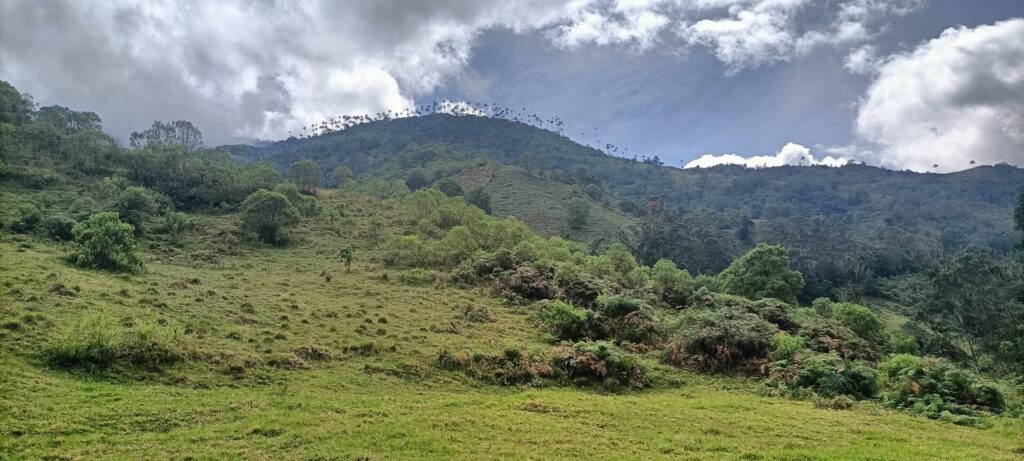 IMG20230729101759 (1)